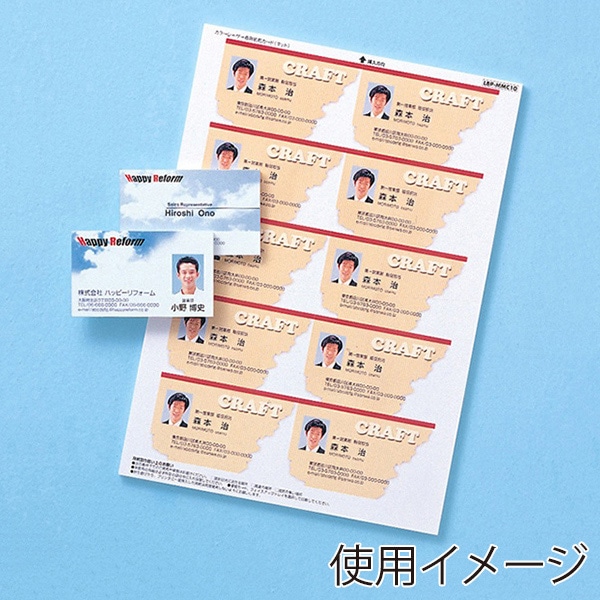 サンワサプライ カラーレーザー 名刺カード つやなしマット A4 10面 10シート LBP-MMC10N 1個（ご注文単位1個）【直送品】