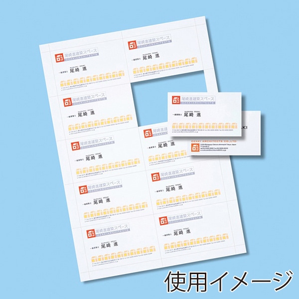 サンワサプライ 名刺カード マルチタイプ 特厚 A4 20シート 200カード分 JP-MCM08N 1個（ご注文単位1個）【直送品】