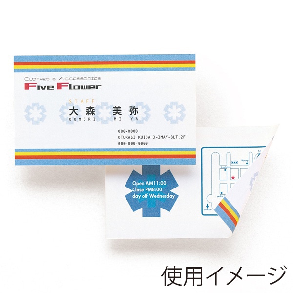 サンワサプライ 名刺カード マルチタイプ 白 A4 10シート 100カード分 JP-MCMT01N 1個（ご注文単位1個）【直送品】