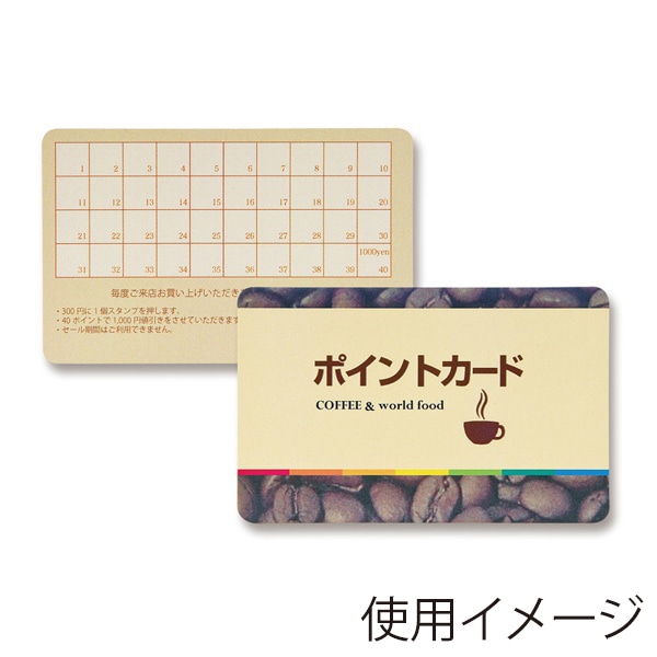 サンワサプライ カラーレーザー フィルムカード A4 10面 5シート LBP-ID01 1個（ご注文単位1個）【直送品】