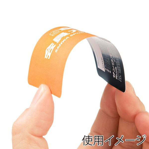 サンワサプライ カラーレーザー フィルムカード A4 10面 5シート LBP-ID01 1個（ご注文単位1個）【直送品】