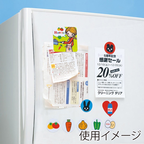 サンワサプライ インクジェット用 手作りマグネットペーパー 特厚 つやなし A4 2シート入 JP-MAGP3N 1個（ご注文単位1個）【直送品】