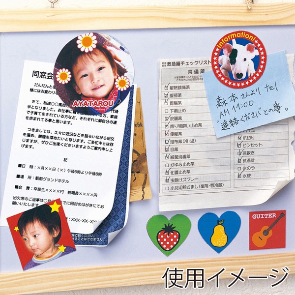 サンワサプライ インクジェット用 手作りマグネットペーパー 特厚 フォト光沢 A4 2シート入 JP-MAGP4N 1個（ご注文単位1個）【直送品】