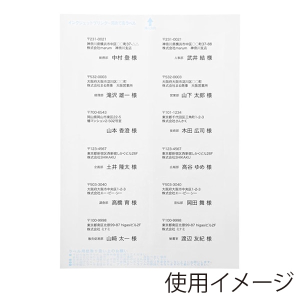 サンワサプライ インクジェットプリンタ用 宛名ラベル A4 10シート 120ラベル分 JP-TA10AN 1個（ご注文単位1個）【直送品】