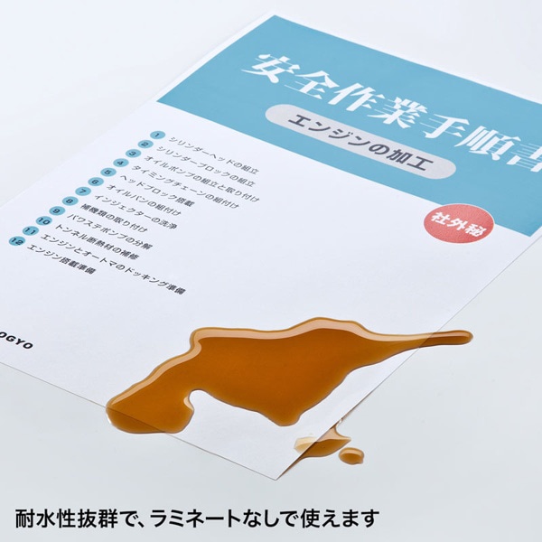 サンワサプライ カラーレーザー 耐水紙 中厚 A3 30枚 LBP-WPF15MDPN-A3 1個（ご注文単位1個）【直送品】