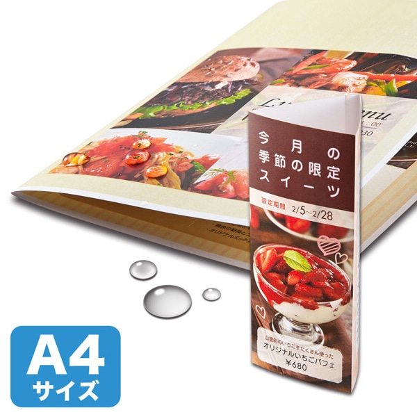 サンワサプライ カラーレーザー 耐水紙 特厚 A4 25枚 LBP-WPF22MDPN 1個（ご注文単位1個）【直送品】