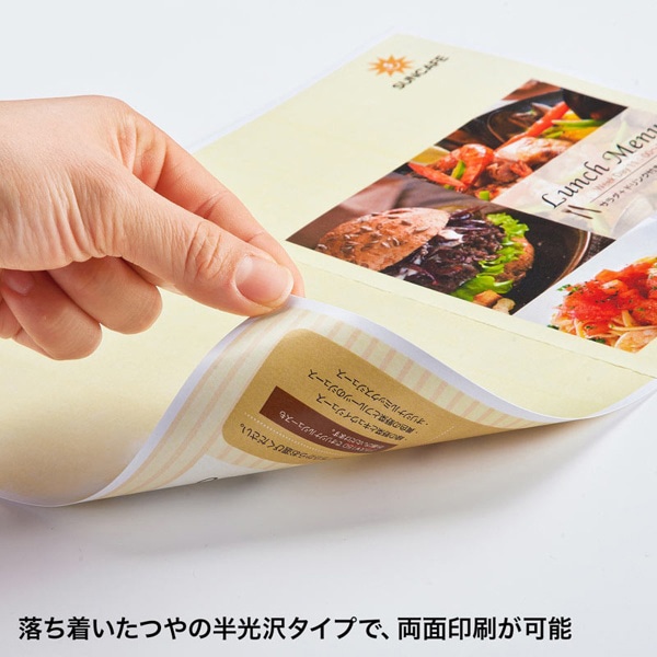 サンワサプライ カラーレーザー 耐水紙 特厚 A3 15枚 LBP-WPF22MDPN-A3 1個（ご注文単位1個）【直送品】