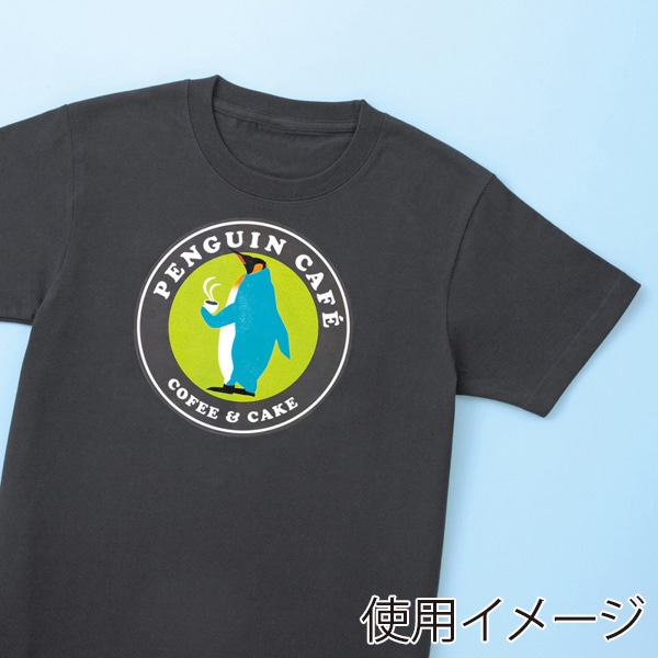 サンワサプライ カラーレーザー用アイロン転写紙 カラー布用 A4 3シート LBP-TPRCLN 1個（ご注文単位1個）【直送品】