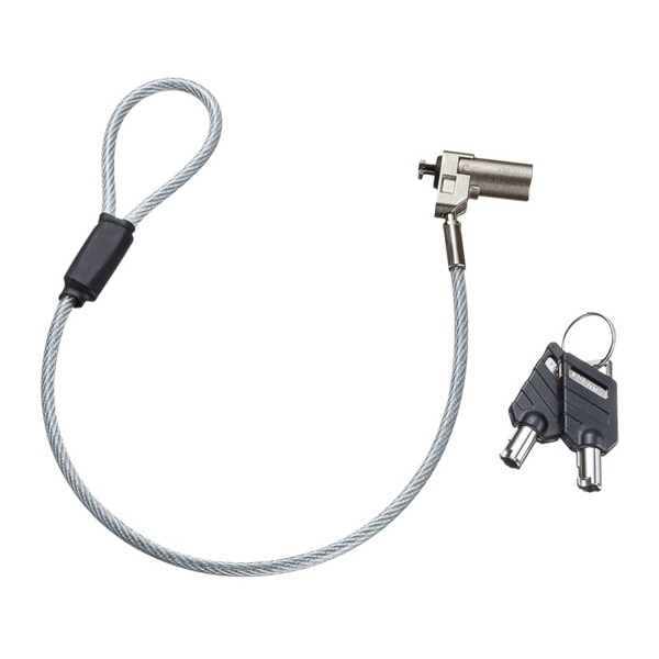 サンワサプライ eセキュリティ 超小型シリンダセキュリティ SLE-45S 1個（ご注文単位1個）【直送品】