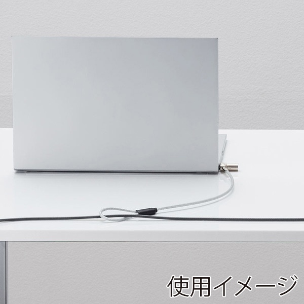 サンワサプライ eセキュリティ 超小型シリンダセキュリティ SLE-45S 1個（ご注文単位1個）【直送品】