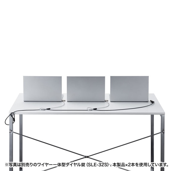 サンワサプライ eセキュリティ 超小型シリンダセキュリティ SLE-45S 1個（ご注文単位1個）【直送品】