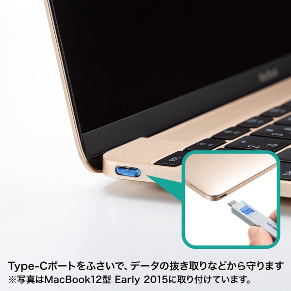 サンワサプライ eセキュリティ TypeCポート取付けセキュリティ SLE-46S-BL 1個（ご注文単位1個）【直送品】