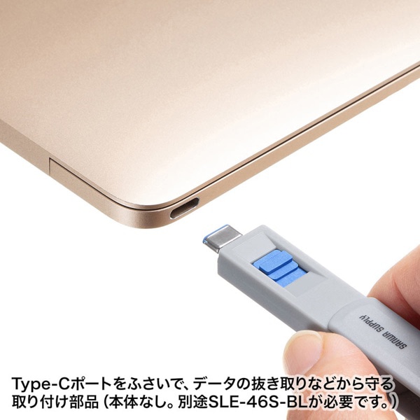 サンワサプライ eセキュリティ TypeCポート取付け部品 SLE-46S-BL用 SLE-46SBLOP 1個（ご注文単位1個）【直送品】