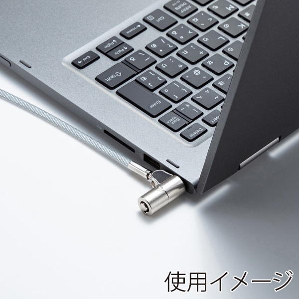 サンワサプライ セキュリティワイヤー・シリンダ nanoスロット対応 SLE-38S-1 1個(ご注文単位1個)【直送品】