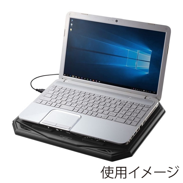 サンワサプライ ノートパソコン用クーラーパッド 10.1～17.3インチワイド TK-CLN29U 1個（ご注文単位1個）【直送品】
