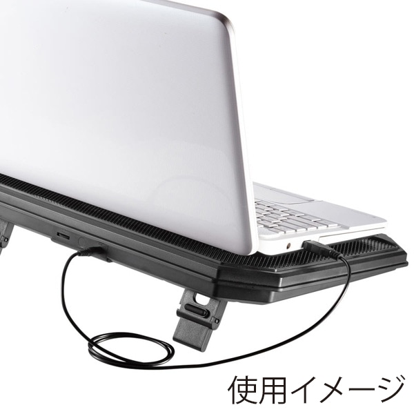サンワサプライ ノートパソコン用クーラーパッド 10.1～17.3インチワイド TK-CLN29U 1個（ご注文単位1個）【直送品】