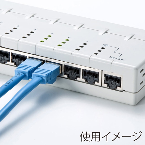 サンワサプライ モジュラージャックガード SL-68N 1個(ご注文単位1個)【直送品】