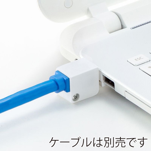サンワサプライ LANケーブルロック SL-93 1個（ご注文単位1個）【直送品】