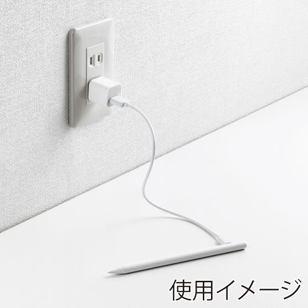 サンワサプライ iPad専用充電式極細タッチペン ホワイト PDA-PEN56W 1個（ご注文単位1個）【直送品】