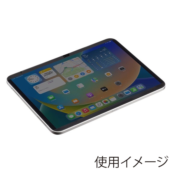サンワサプライ 液晶保護フィルム iPad用 のぞき見防止 11インチ／10.9インチ LCD-IPAD109PF 1個（ご注文単位1個）【直送品】