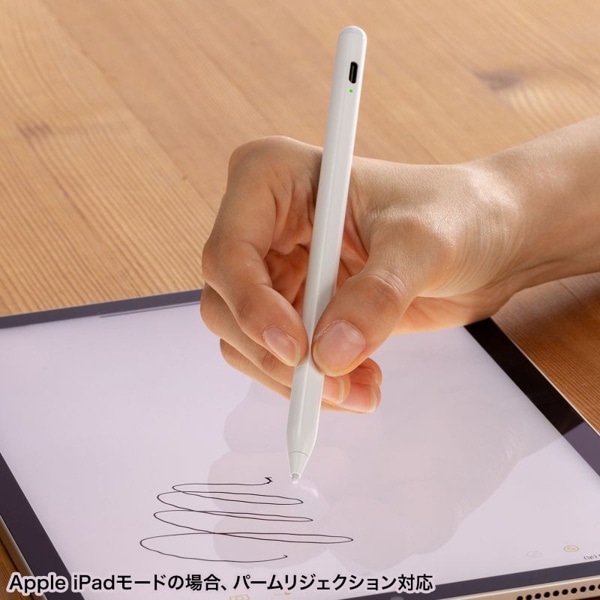 サンワサプライ 極細タッチペン ハイブリッド充電式 ホワイト PDA-PEN58W 1個（ご注文単位1個）【直送品】