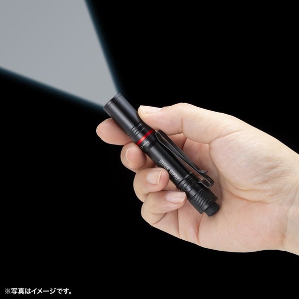サンワサプライ ペン型ライト ショートタイプ LED-PEN2BK 1個（ご注文単位1個）【直送品】