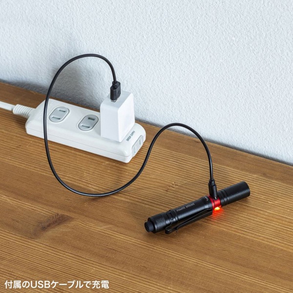 サンワサプライ ペン型ライト ショートタイプ LED-PEN2BK 1個（ご注文単位1個）【直送品】