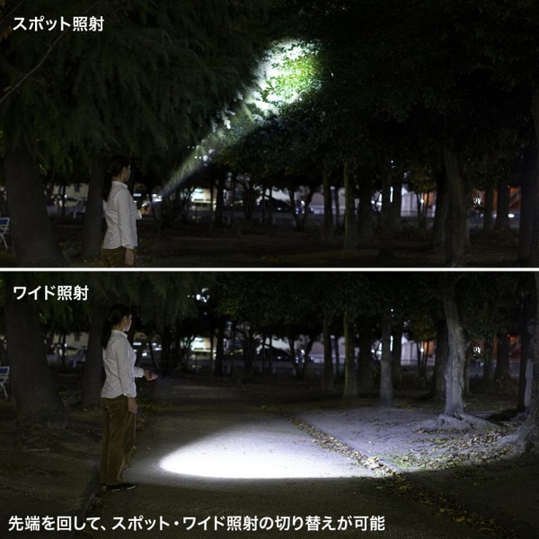 サンワサプライ ペン型ライト ショートタイプ LED-PEN2BK 1個（ご注文単位1個）【直送品】