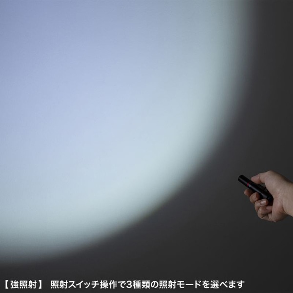 サンワサプライ ペン型ライト ショートタイプ LED-PEN2BK 1個（ご注文単位1個）【直送品】