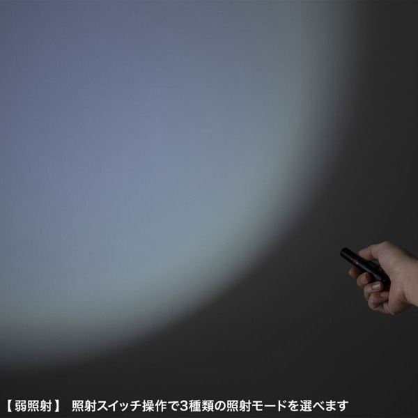 サンワサプライ ペン型ライト ショートタイプ LED-PEN2BK 1個（ご注文単位1個）【直送品】