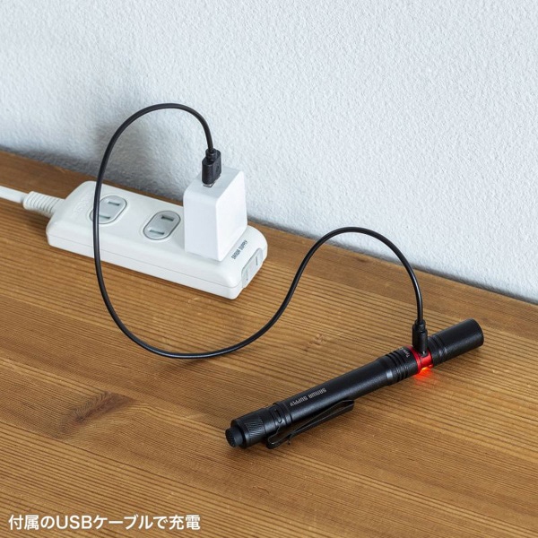 サンワサプライ ペン型ライト ロングタイプ LED-PEN3BK 1個（ご注文単位1個）【直送品】