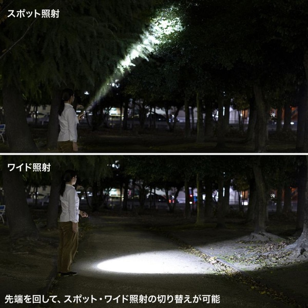 サンワサプライ ペン型ライト ロングタイプ LED-PEN3BK 1個（ご注文単位1個）【直送品】