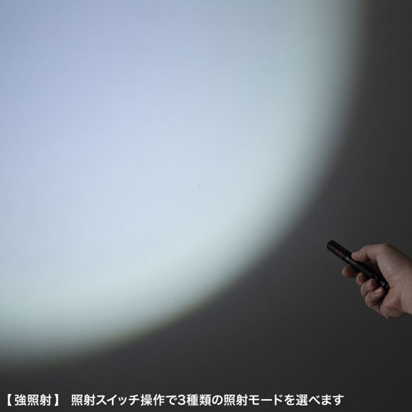 サンワサプライ ペン型ライト ロングタイプ LED-PEN3BK 1個（ご注文単位1個）【直送品】