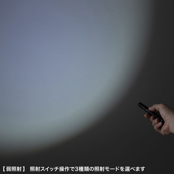 サンワサプライ ペン型ライト ロングタイプ LED-PEN3BK 1個（ご注文単位1個）【直送品】
