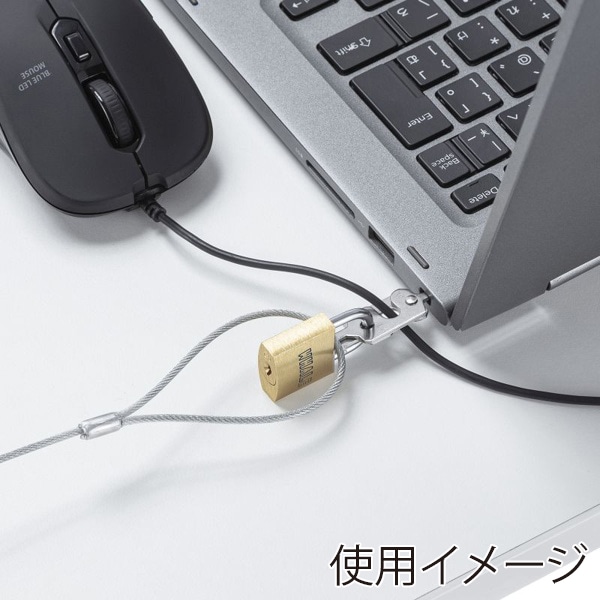 サンワサプライ セキュリティワイヤー スロットマルチ対応 南京錠タイプ SL-94 1個（ご注文単位1個）【直送品】