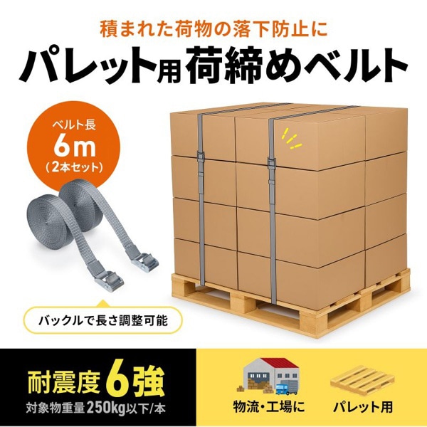 サンワサプライ パレット荷締めベルト 6m×2本入 QL-E103 1個(ご注文単位1個)【直送品】