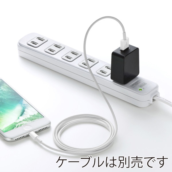 サンワサプライ USB充電器 1A・高耐久タイプ・ブラック ACA-IP49BKN 1個(ご注文単位1個)【直送品】