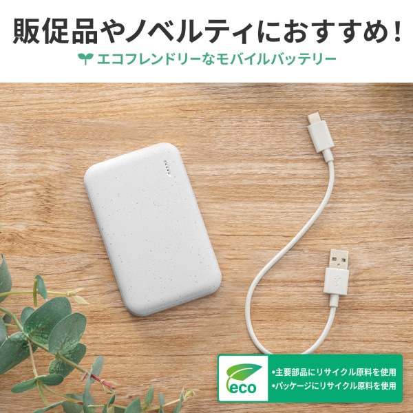 サンワサプライ モバイルバッテリー 5000mAh BTL-RDC32EC 1個(ご注文単位1個)【直送品】