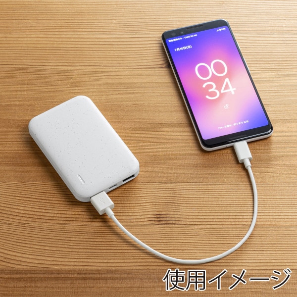 サンワサプライ モバイルバッテリー 5000mAh BTL-RDC32EC 1個(ご注文単位1個)【直送品】