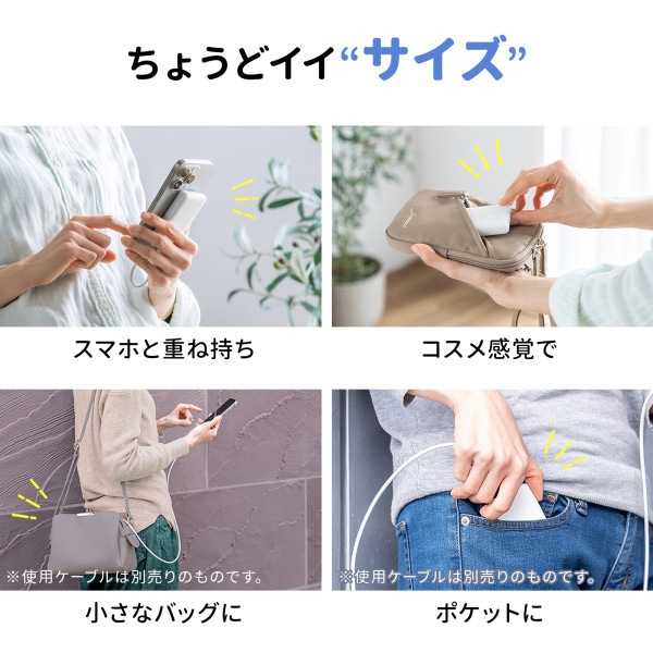 サンワサプライ モバイルバッテリー 4000mAh BTL-RDC35W 1個(ご注文単位1個)【直送品】