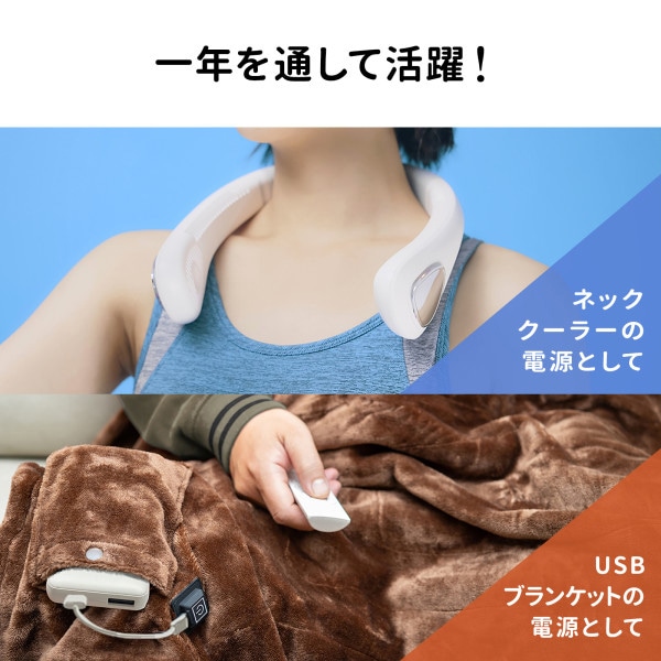 サンワサプライ モバイルバッテリー 4000mAh BTL-RDC35W 1個(ご注文単位1個)【直送品】