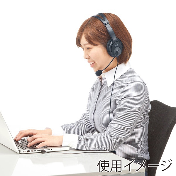 サンワサプライ USBヘッドセット オーバーヘッド両耳 ブラック MM-HSUSB17BK 1個(ご注文単位1個)【直送品】