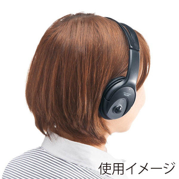 サンワサプライ USBヘッドセット オーバーヘッド両耳 ブラック MM-HSUSB17BK 1個(ご注文単位1個)【直送品】