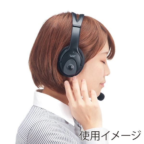 サンワサプライ USBヘッドセット オーバーヘッド両耳 ブラック MM-HSUSB17BK 1個(ご注文単位1個)【直送品】