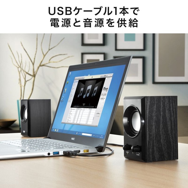 サンワサプライ USBスピーカー ブラック MM-SPU7BK 1個（ご注文単位1個）【直送品】