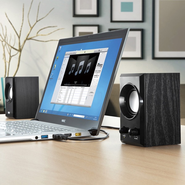 サンワサプライ USBスピーカー ブラック MM-SPU7BK 1個（ご注文単位1個）【直送品】