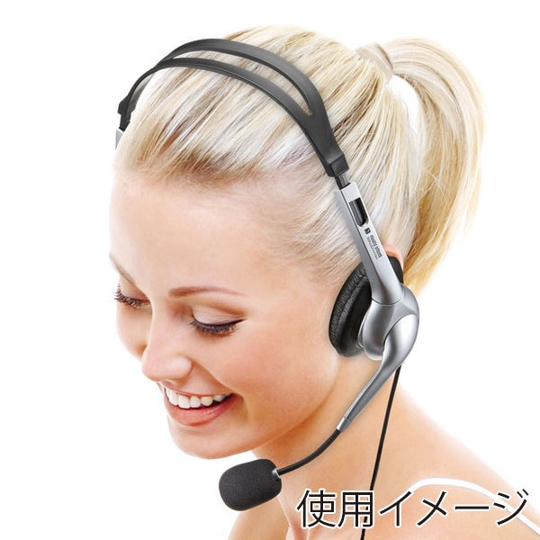 サンワサプライ マルチメディア PCヘッドセット MM-HS507NCN 1個（ご注文単位1個）【直送品】