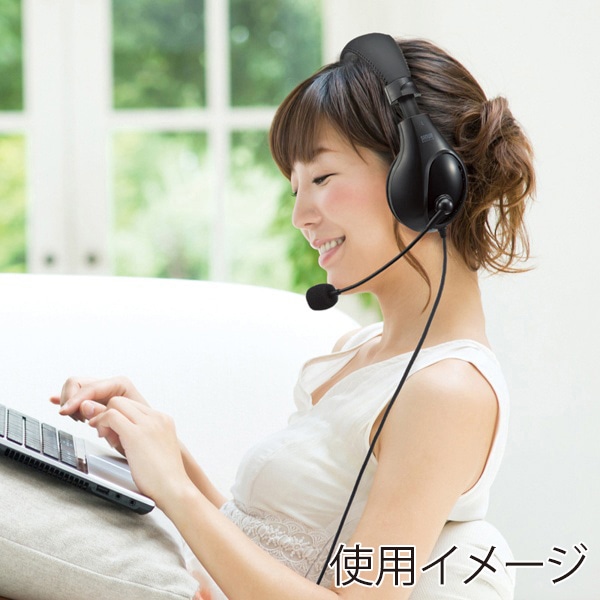 サンワサプライ 4極対応ヘッドセット ブラック MM-HS401BK 1個（ご注文単位1個）【直送品】