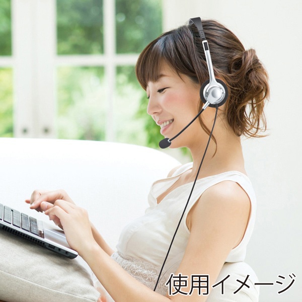 サンワサプライ 4極対応ヘッドセット シルバー MM-HS402SV 1個(ご注文単位1個)【直送品】