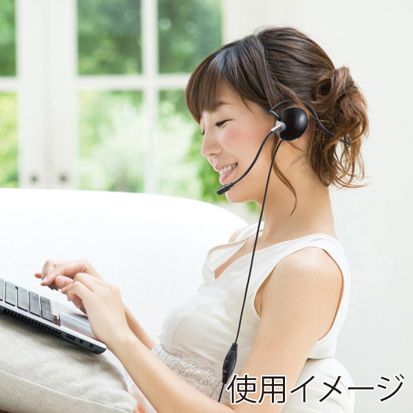 サンワサプライ 4極対応ヘッドセット ブラック MM-HS403BK 1個（ご注文単位1個）【直送品】